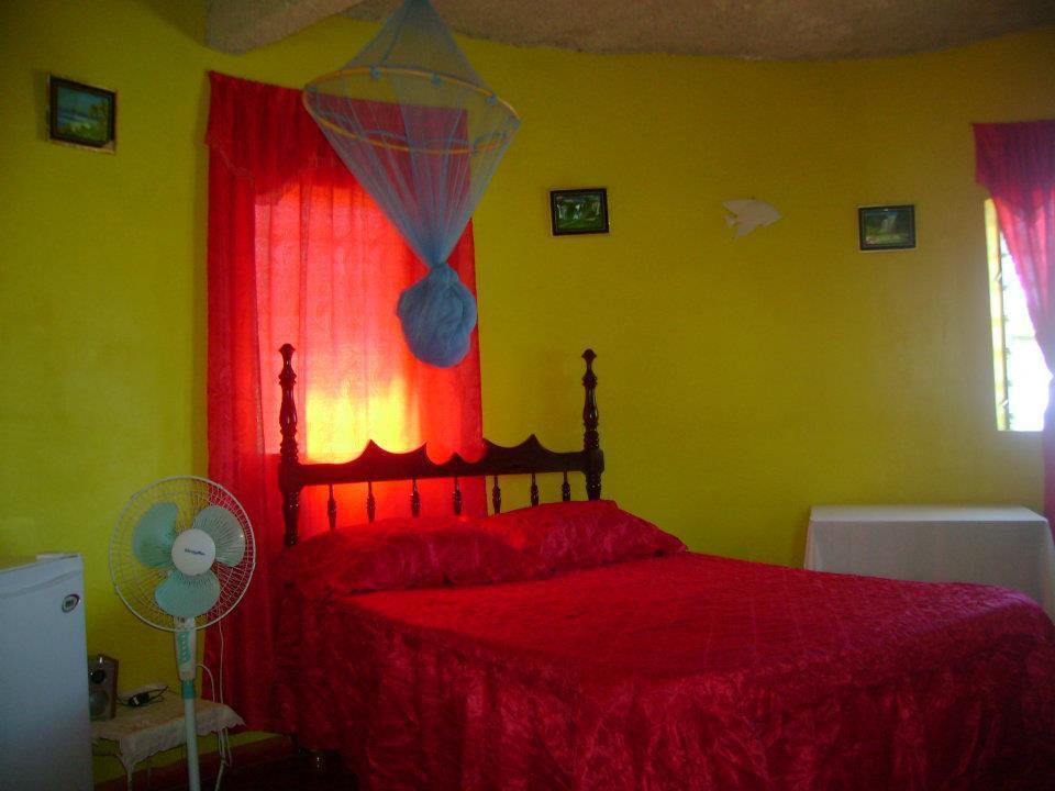 Waikiki Guest House Treasure Beach Room photo
